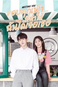 Meeting you ขอบคุณที่ได้เจอเธอ ซับไทย EP.1-28 (จบ)