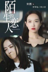 Lover or Stranger รักจริงหรือรักลวง ซับไทย EP.1-29 (จบ)